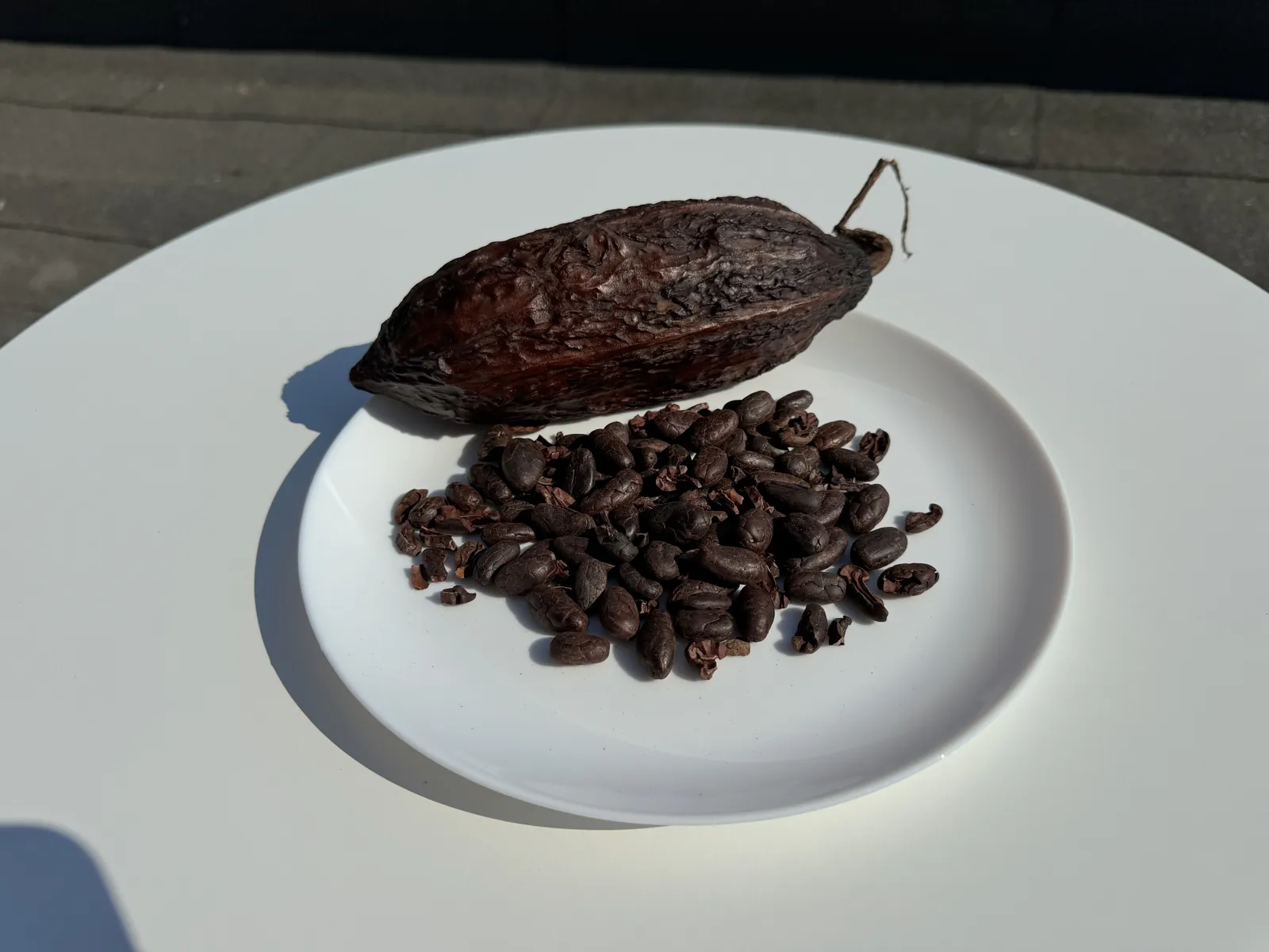 Kakavos vaisius ir kakavos pupelės ant lėkštės